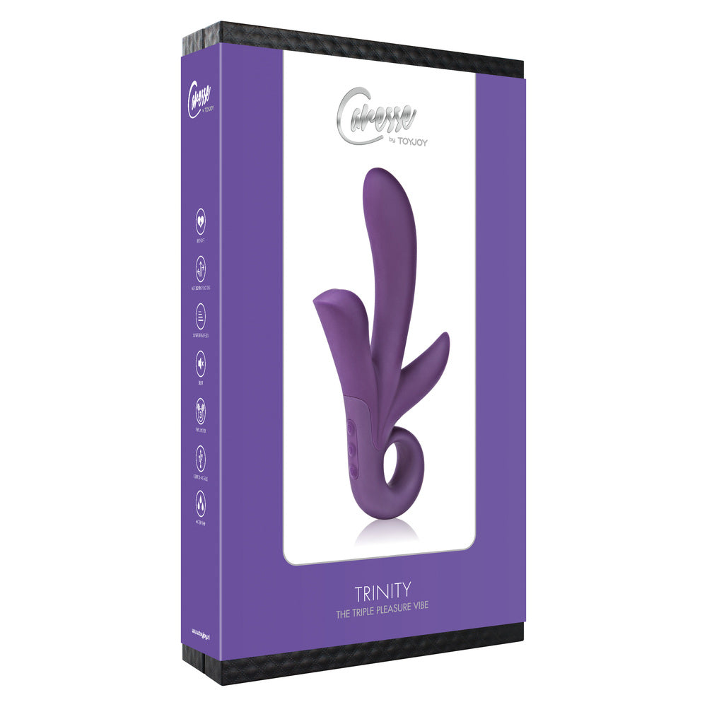 Vibrador de triple placer ToyJoy Trinity morado