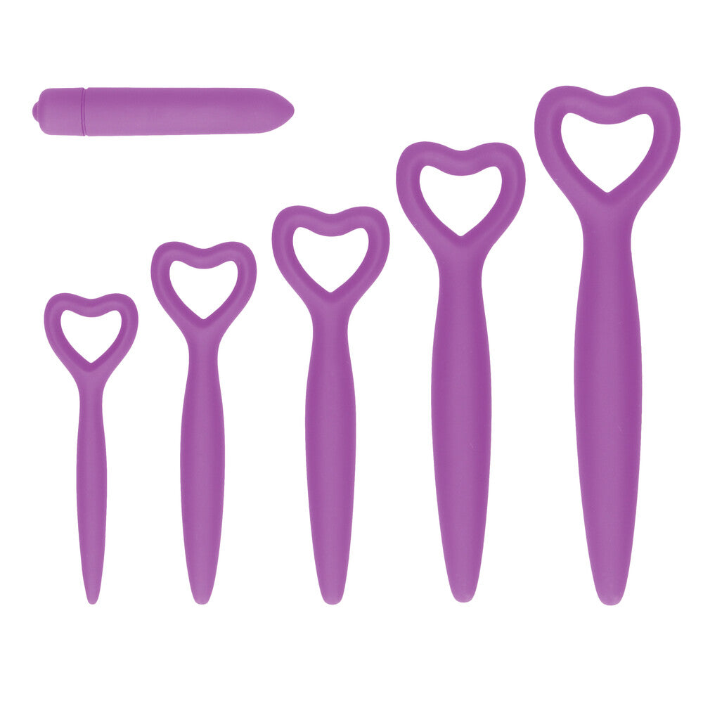 Juego de dilatadores vaginales de silicona Ouch morado