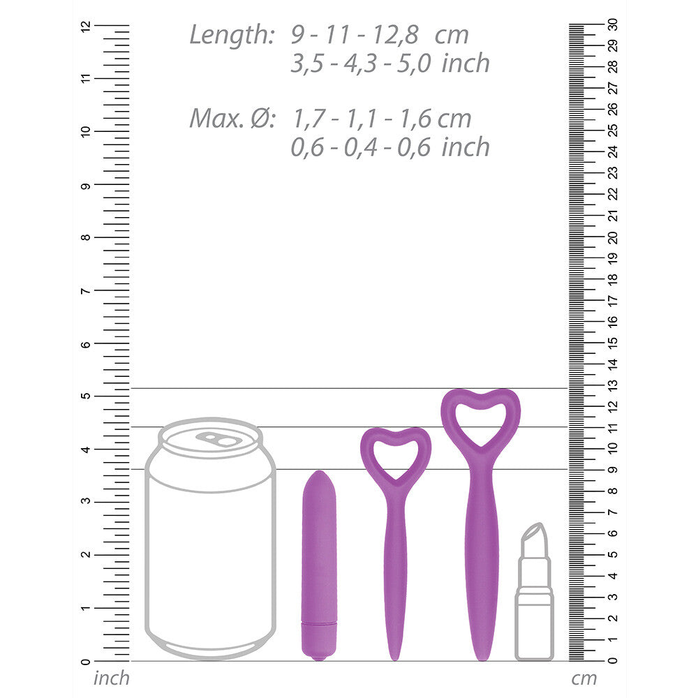 Kit de dilatateur vaginal en silicone Ouch violet